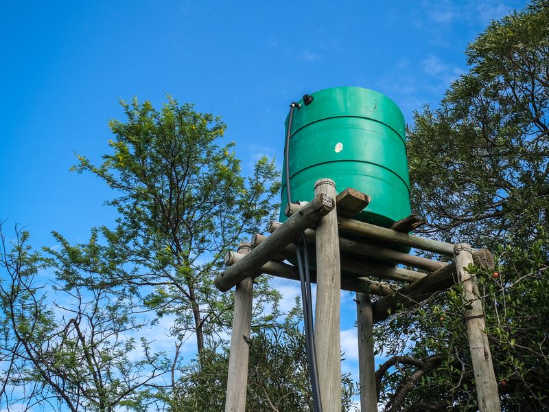 Entretien fosse septique, réservoir d'eau, coordination