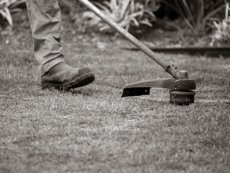 Entretien mensuel jardin